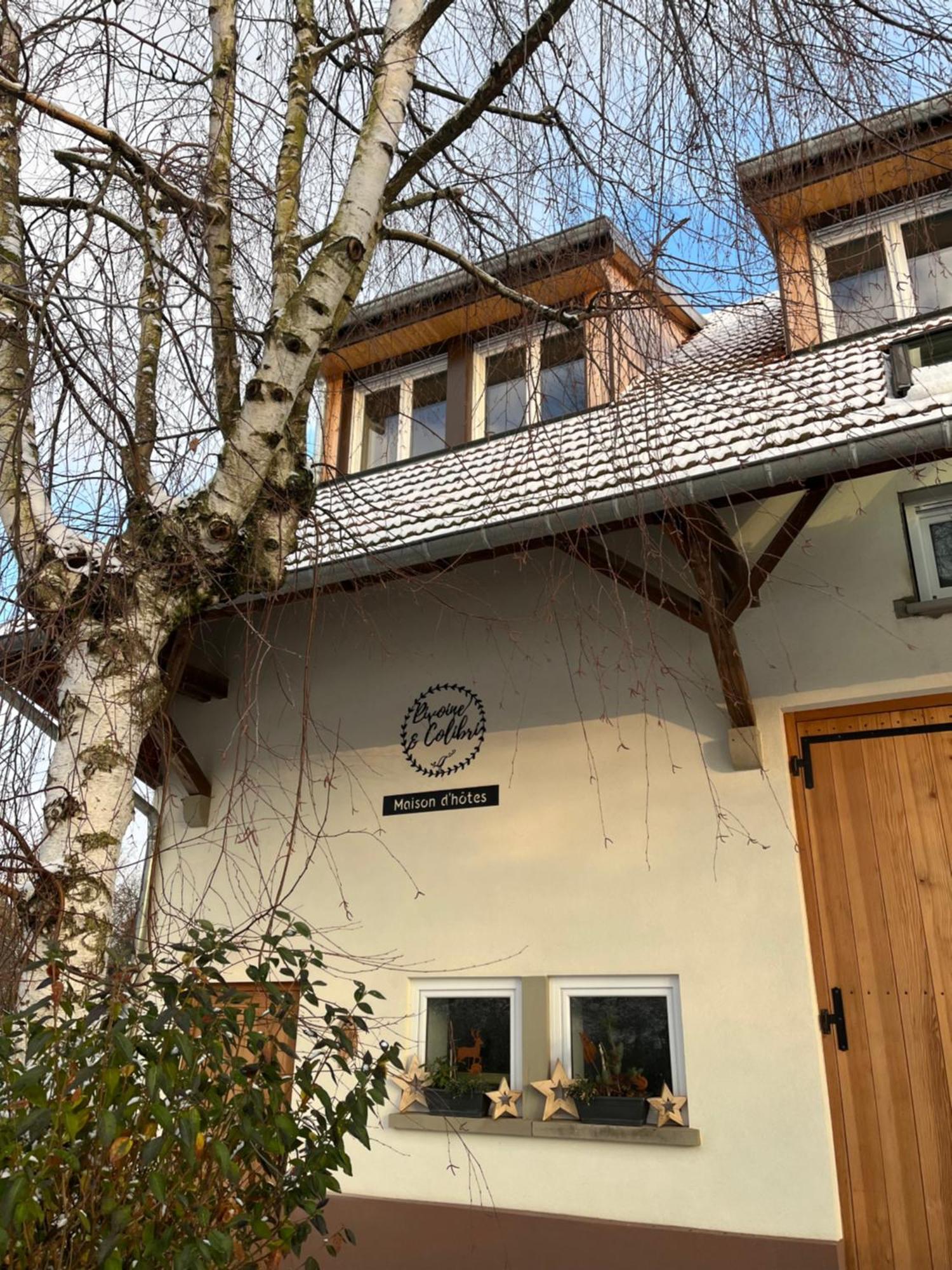 Maison D Hotes Spa Pivoine Et Colibri Domfessel Экстерьер фото